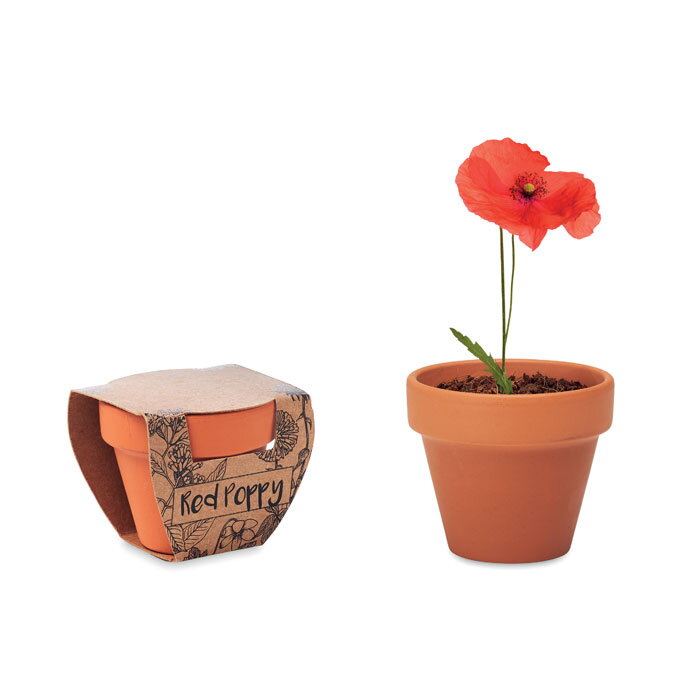 RED POPPY RED POPPY