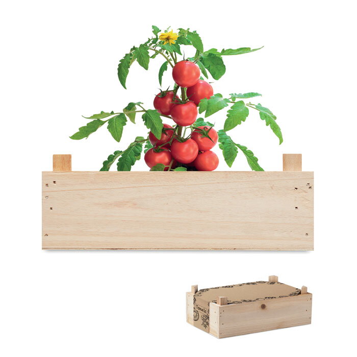 TOMATO TOMATO